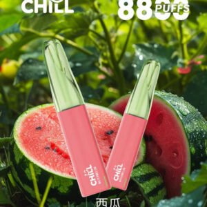 CHILL 鴨嘴獸 8800一次性煙桿 12W 穩定輸出不虛標 匠心調校丁鹽配比體驗溫潤擊喉感 專屬鴨嘴造型超好含 台灣現貨
